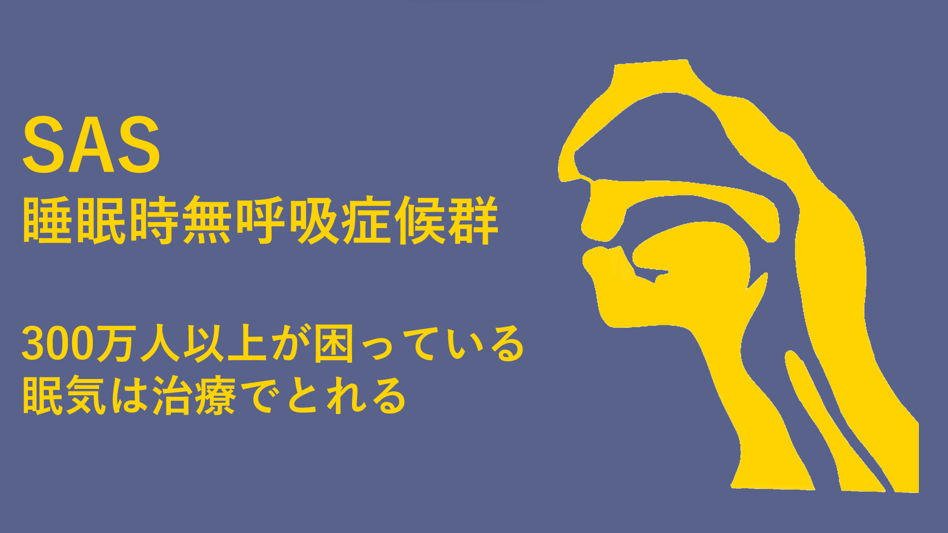 睡眠時無呼吸症候群：SASの概要｜いびきのお医者さん